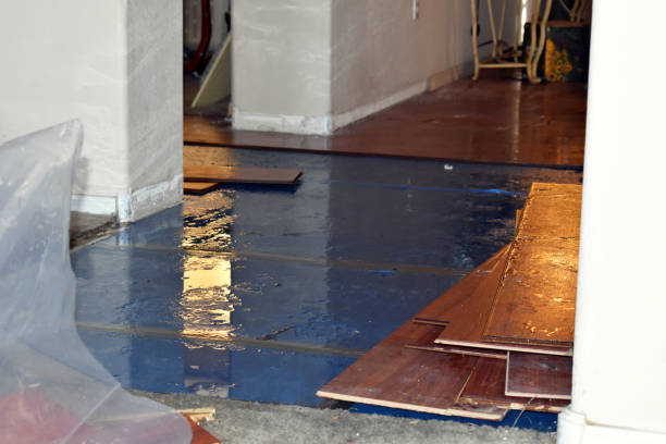 Professional Basement Flood Cleanup technician working in Waves, NC